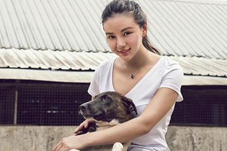 Socialite Kim Lim launches fund-raising calendar for animal welfare groups with celeb friends