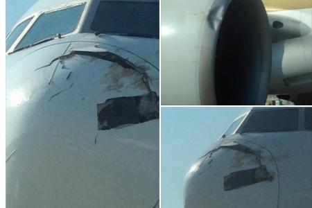 SIA plane forced to turn back after getting hit by birds