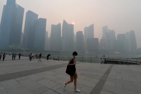 Local volunteer group plans to go after firms involved in causing haze
