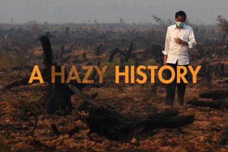 A history of the haze