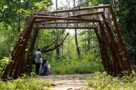 Coney Island Park offers an escape to nature