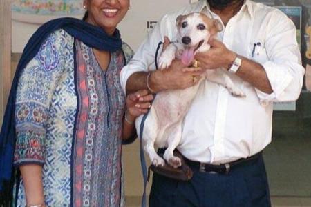 Singapore couple reunited with dog that was lost nine years ago
