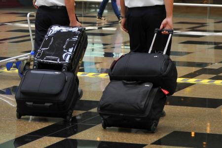 Dog flies undetected from HK to Japan in owner's luggage