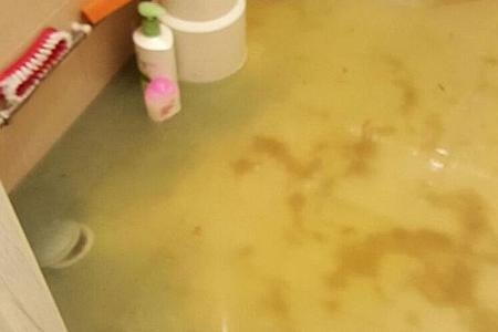 Family suffers stink and filth from sewage for two days