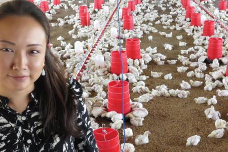 Her chickens are providing jobs in Rwanda