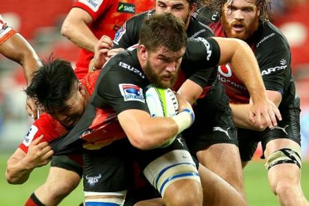 Sunwolves lose, but new Super Rugby franchise improving all the time