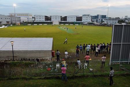Migrant workers enjoy a weekend of cricket