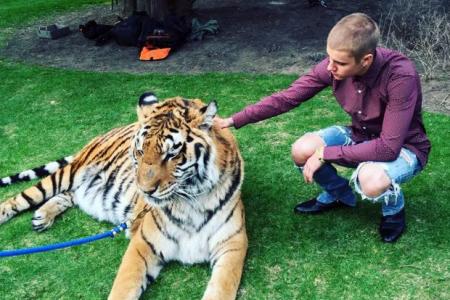 US animal rights group roar at Bieber's tiger act