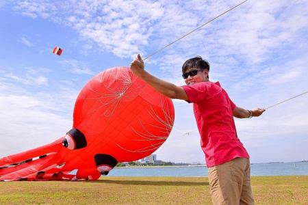 Cultivating the kiting spirit