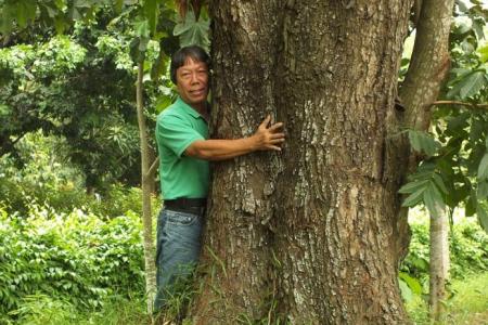 Former zoo curator writes book on mahogany tree