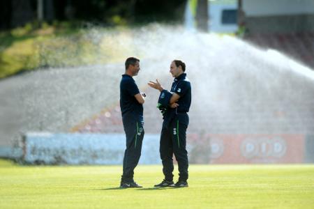 O’Neill and Keane have turned Ireland around, says Gary Lim