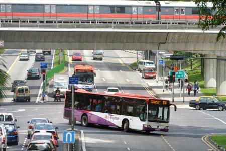 Council makes recommendations to improve public transport