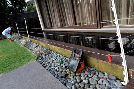 Sentosa Cove resident uses electric fence to keep out otters