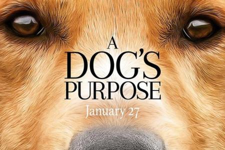 Movie Poster: A Dog's Purpose