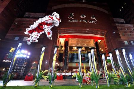 Young lion dancers left disappointed with slip