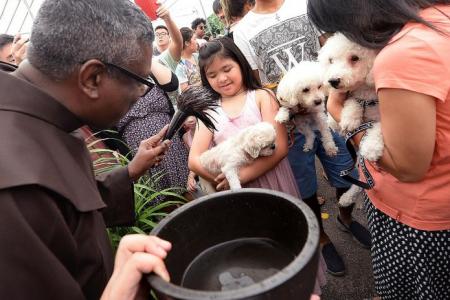 Pet owners throng church's pet blessing ceremony