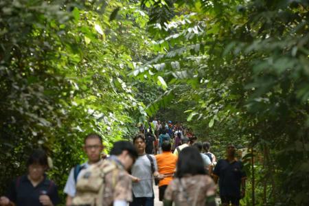 Bukit Timah Nature Reserve reopens fully
