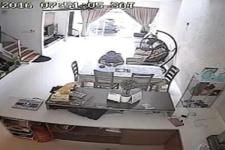 Unprotected webcams streamed live on the web