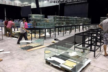 150 empty tanks at fish exhibition