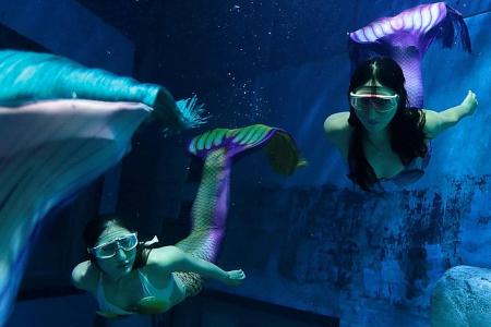 Diving into their mermaid fantasy