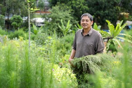 He grows herbs to help cancer patients