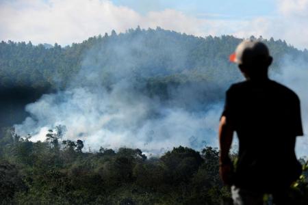 This year, there were only 14,490 hot spots recorded in Indonesia this year, compared to 78,164 last year.