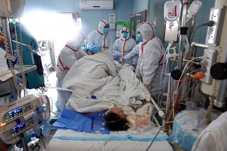 Bird flu fear in China with 100 recent deaths