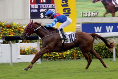 Rapper Dragon stands out in the HK Classic Cup
