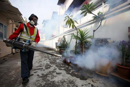 New Zika cluster in Hougang