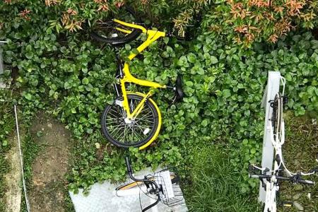 Bikes improperly parked, damaged