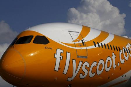 Scoot: No proof of bedbugs after searching plane