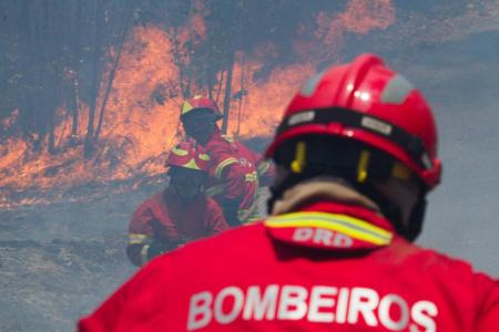 at least 62 dead in Portuguese forest fires