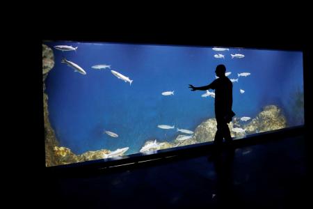 Holy water: Jerusalem aquarium set to open at Biblical Zoo