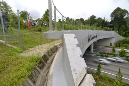 NParks: No more guided walks on wildlife bridge