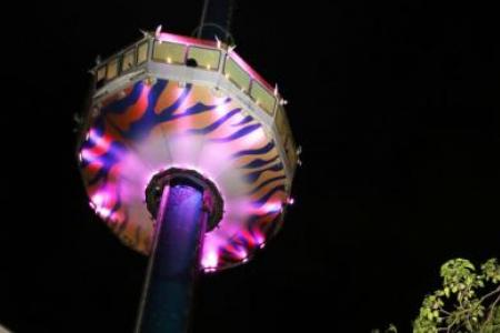 BCA: Sky Tower operator must appoint expert to investigate