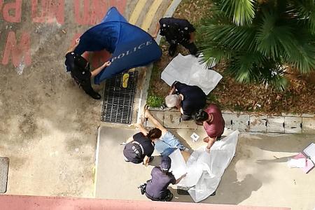 Father-daughter found dead in Pasir Ris