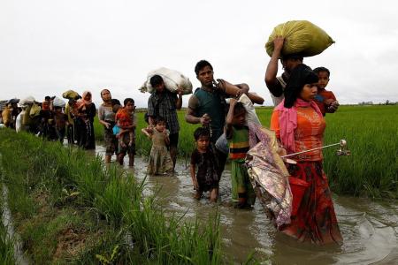 73,000 Rohingya flee as Myanmar govt searches for insurgents