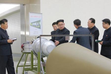 Expert: North Korea's bomb 'capable of destroying cities'