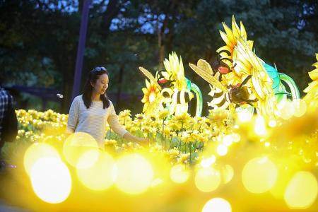 Lanterns to light up Gardens by the Bay