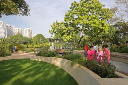Therapeutic garden to improve mental well-being