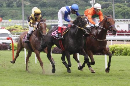Higher Soul works towards a fourth win