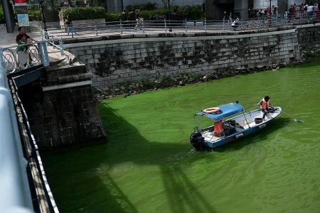 Singapore River goes green