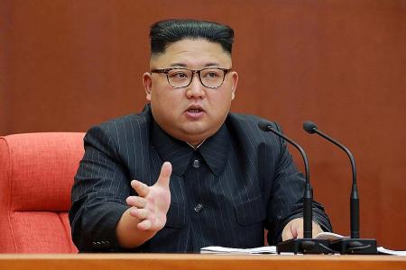 N. Korea&#039;s nukes are a &#039;powerful deterrent&#039;