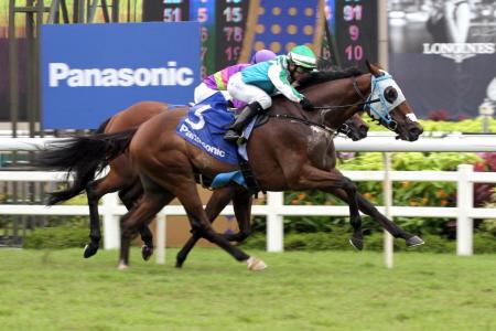 Infantry out of Raffles Cup but Gold Cup agenda on