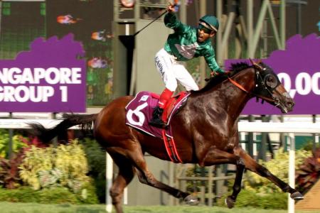 Gilt Complex springs $222 upset in Raffles Cup