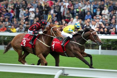 Werther signals HK Cup hope