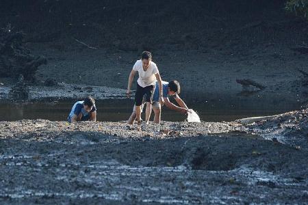 3 men spotted digging for shellfish at Sungei Buloh