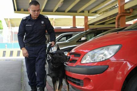 Dogs to help in security checks