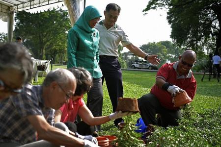 Istana open to volunteer gardeners for three days a month