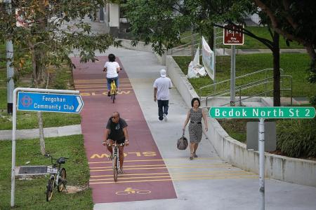 New red bike paths open in Bedok